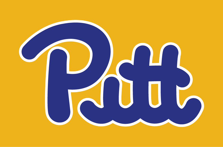 Pittsburgh Panthers 1973-1996 Wordmark Logo diy iron on heat transfer